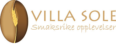 Villa Sole logo